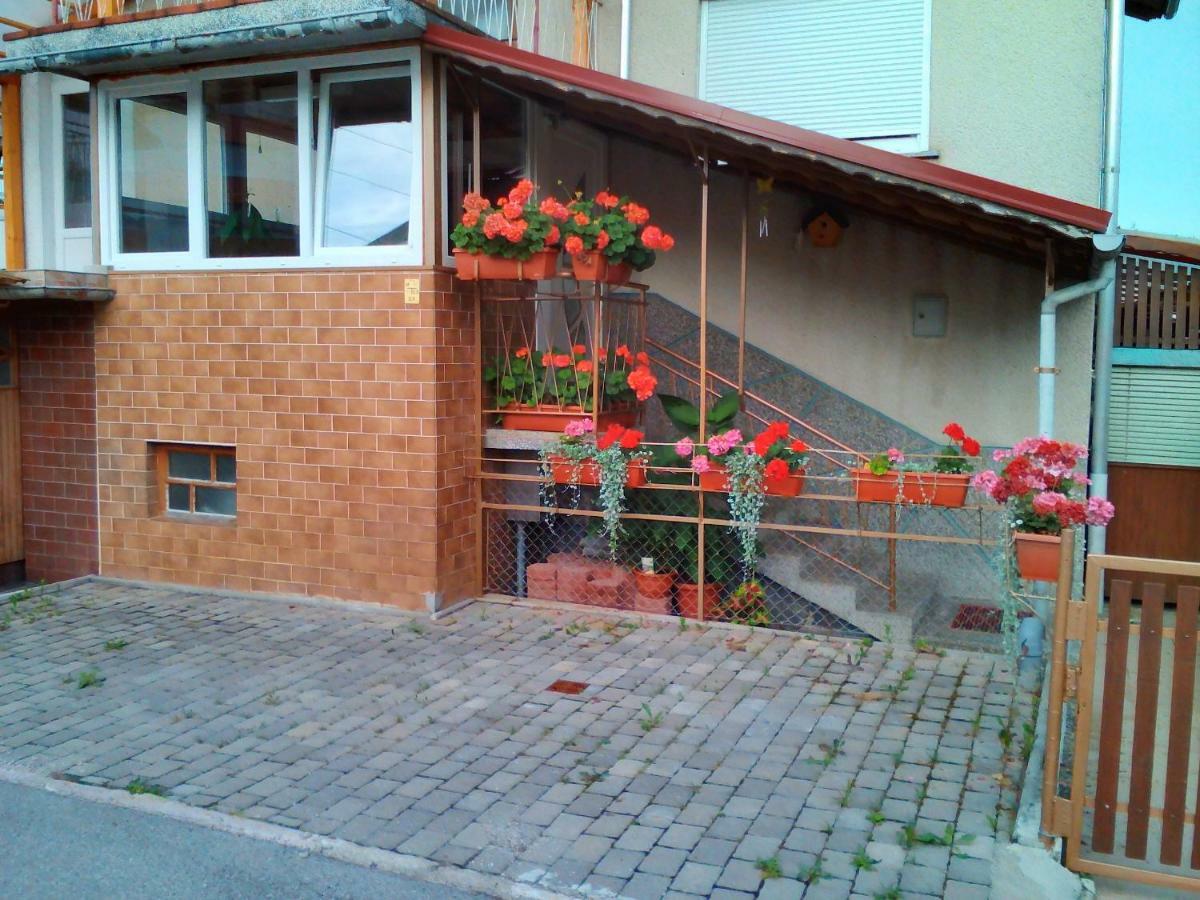Apartment Janja Vojnik Exterior foto